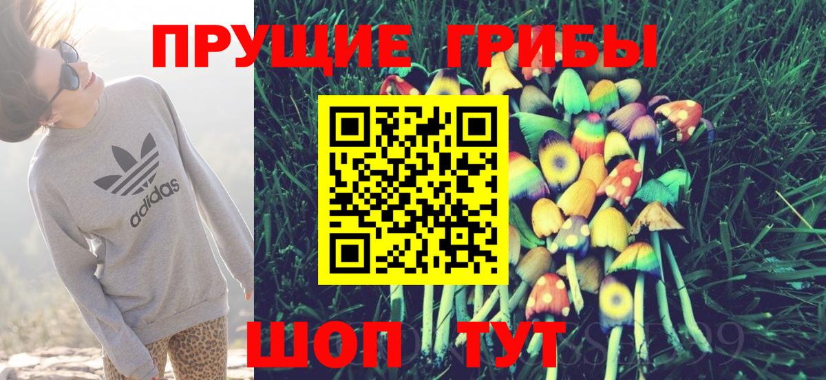 Чита  Галлюциногенные грибы мицелий  Галлюциногенные грибы Magic Shrooms  Вход с VPN 